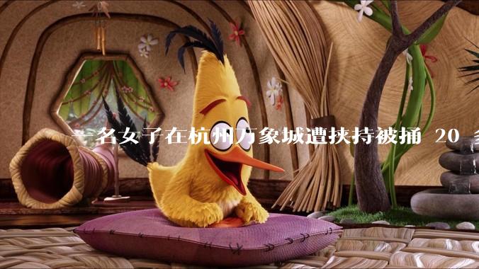 一名女子在杭州万象城遭挟持被捅 20 多刀，隆胸***体救了一命，这反映出哪些公安系统的问题？