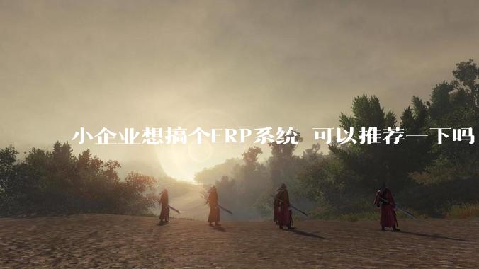小企业想搞个ERP系统 可以推荐一下吗?