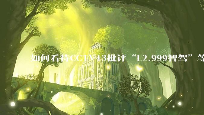 如何看待CCTV13批评“L2.999智驾”等误导性宣传，若导致事故车企可能需要担责？