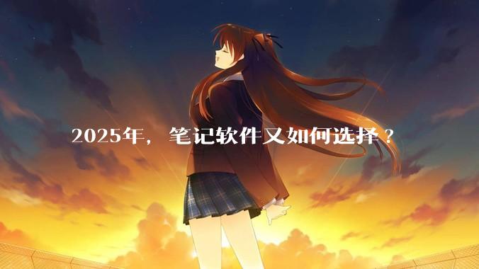 2025年，笔记软件又如何选择?