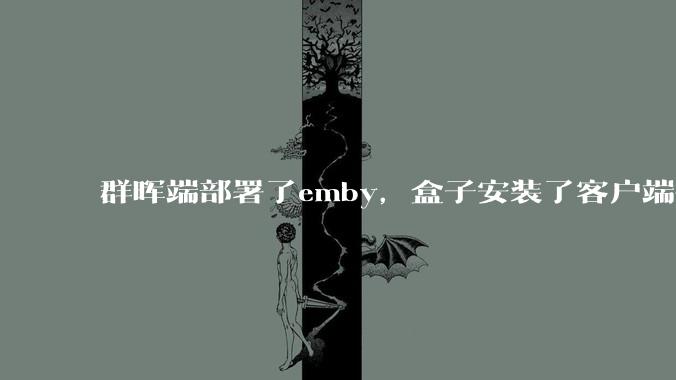 群晖端部署了emby，盒子安装了客户端播放蓝光电影为什么不能显示影片自带字幕？