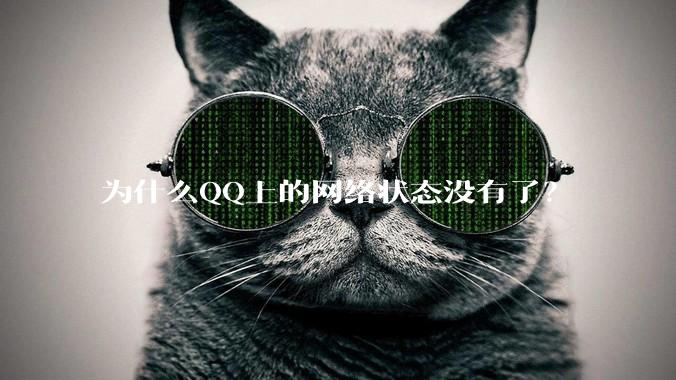 为什么QQ上的网络状态没有了？