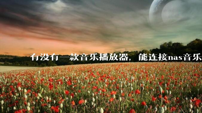 有没有一款音乐播放器，能连接nas音乐，创建音乐库，自动匹配歌词封面等等？类似infuse的概念呢？
