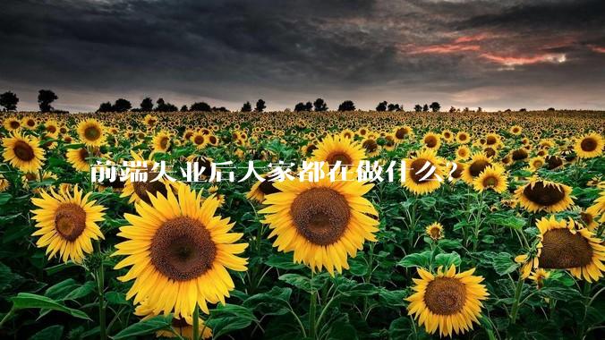 前端失业后大家都在做什么？
