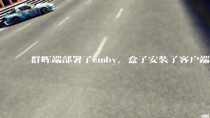 群晖端部署了emby，盒子安装了客户端播放蓝光电影为什么不能显示影片自带字幕？