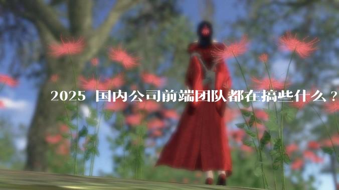 2025 国内公司前端团队都在搞些什么?