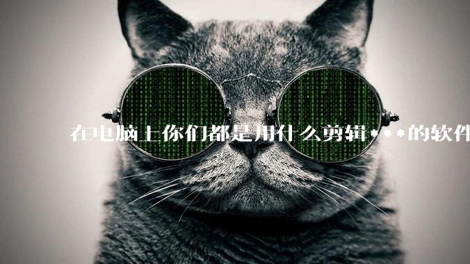 在电脑上你们都是用什么剪辑***的软件啊？