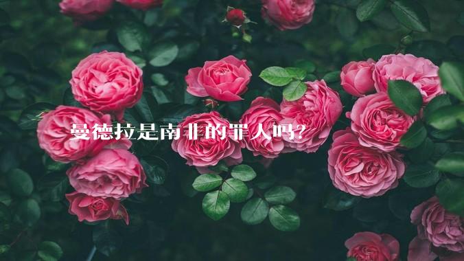 曼德拉是南非的罪人吗？