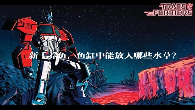 新手养鱼，鱼缸中能放入哪些水草？