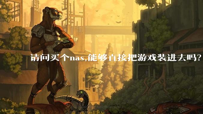 请问买个nas,能够直接把游戏装进去吗？