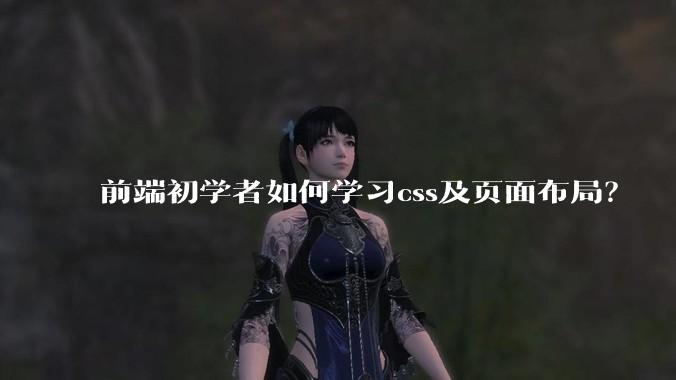 前端初学者如何学习css及页面布局？