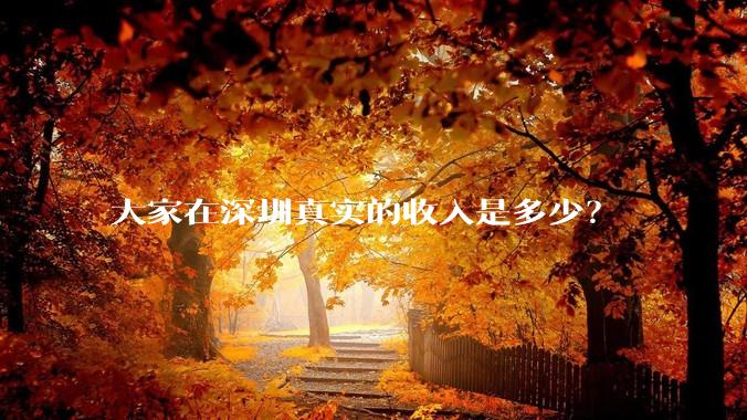 大家在深圳真实的收入是多少？