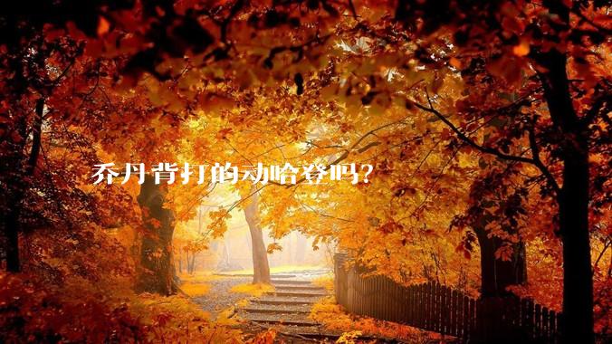 乔丹背打的动哈登吗？
