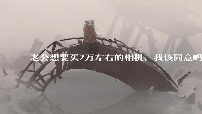 老公想要买2万左右的相机，我该同意吗？