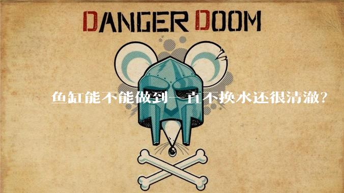 鱼缸能不能做到一直不换水还很清澈？