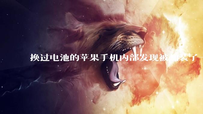 换过电池的苹果手机内部发现被加装了一个部件，有大佬知道这是干什么的吗?
