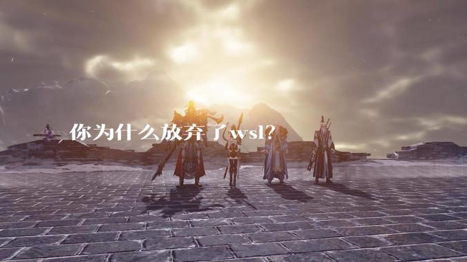 你为什么放弃了wsl？