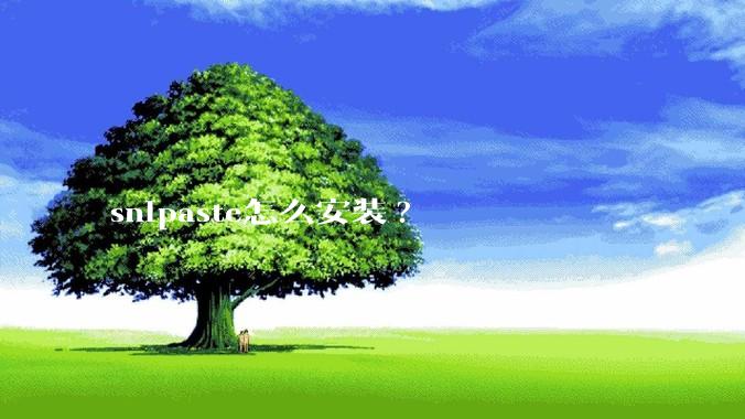 snipaste怎么安装?