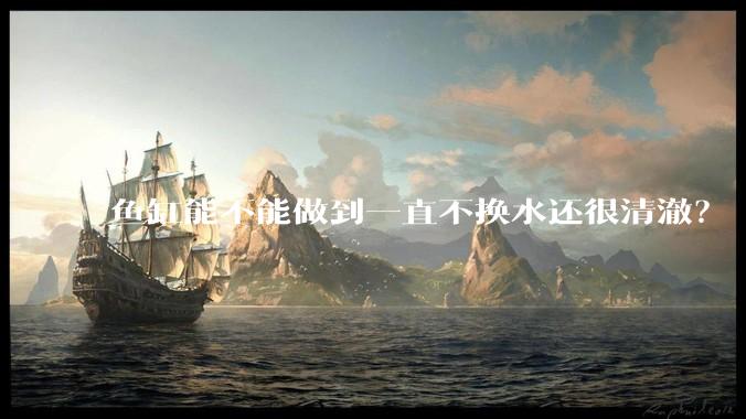 鱼缸能不能做到一直不换水还很清澈？