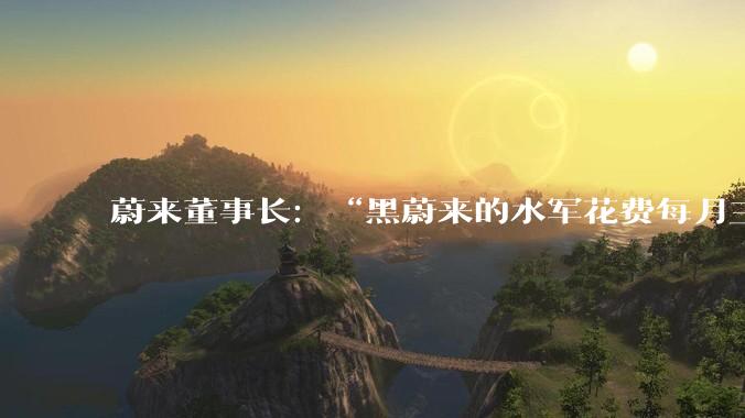 蔚来董事长：“黑蔚来的水军花费每月三五千万。”是夸大其词，还是确有其事？