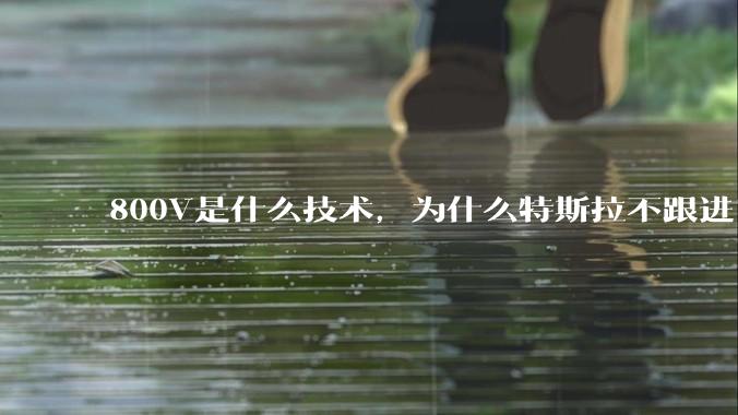 800V是什么技术，为什么特斯拉不跟进？
