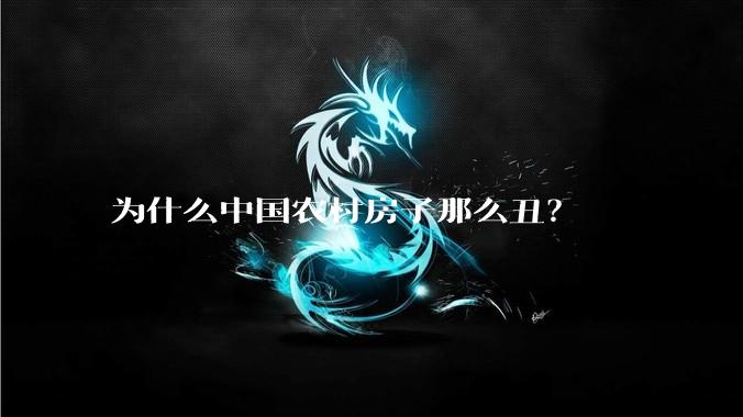为什么中国农村房子那么丑？
