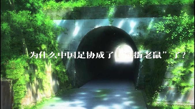 为什么中国足协成了“过街老鼠”了？