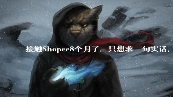 接触Shopee8个月了，只想求一句实话，你们到底赚钱了吗？