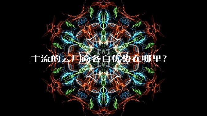 主流的云厂商各自优势在哪里？