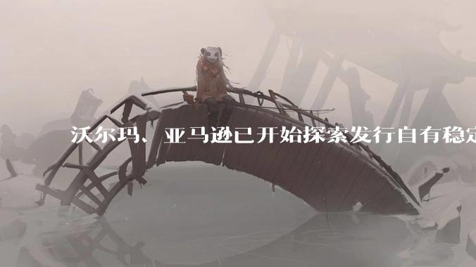 沃尔玛、亚马逊已开始探索发行自有稳定币，如何看待部分企业要自己发行稳定币？